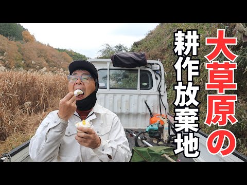 耕作放棄地の道路沿いのそびえ立つススキの壁を刈る！