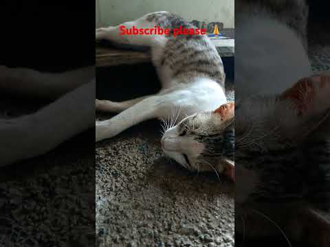 #मेरी मम्मी बोलती है कभी zut नहि बोलना चाहिये #पर खुद 7बजे बोलेगी उठ जा बेटा 10 बजे है#