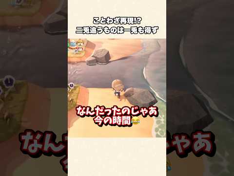 【あつ森】チョウザメから学ぶまさかのことわざに笑ったw【あつまれどうぶつの森】#shorts #あつ森