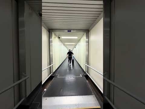 Leaving the Plane: Hello Beirut