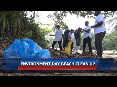 Environment Day Beach Clean Up