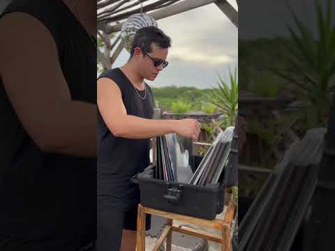 Are you a Vinyl collector?