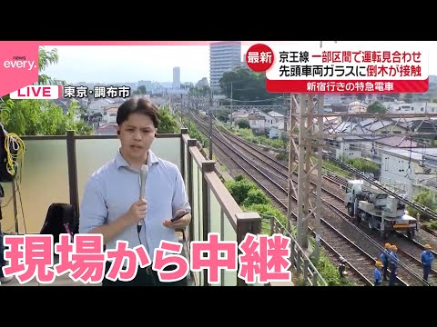 経済金融の動画サムネイル - 【京王線】一部区間で運転見合わせ  車両ガラスに倒木接触【中継】