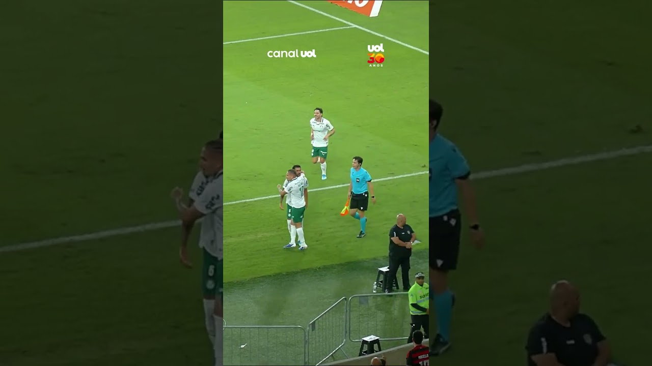 O PAULINHO FEZ O 3º GOL DO PALMEIRAS E COMEMOROU FAZENDO "XIU"