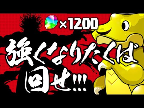 魔法石1200個でチャンピオンコラボガチャ200連じゃい！【パズドラ】