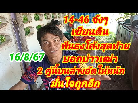 14-46จังๆเซียนดินฟันธงโค้งส