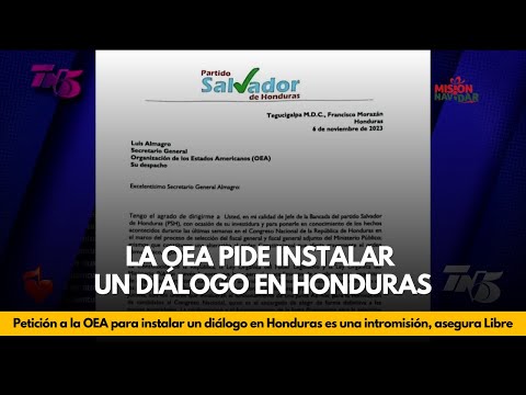 Petición a la OEA para instalar un diálogo en Honduras 'es una intromisión', asegura Libre