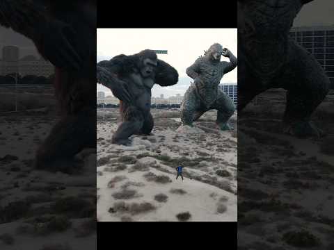 That’s how you crash the dance floor