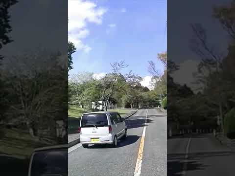 老〇運転・・#shorts #ドライブレコーダー #迷惑運転 #危険運転 #事故