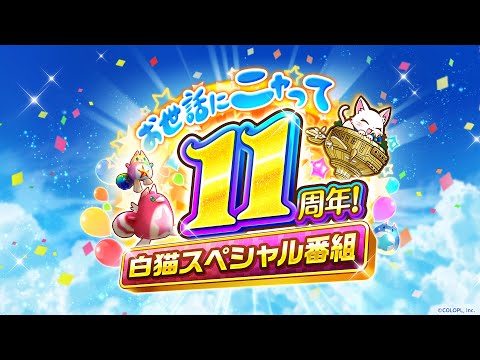 お世話にニャって11周年！白猫スペシャル番組