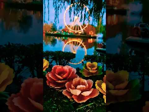 Traumhaft 🥰 #soschön #loveit #riesenrad #reiseliebe