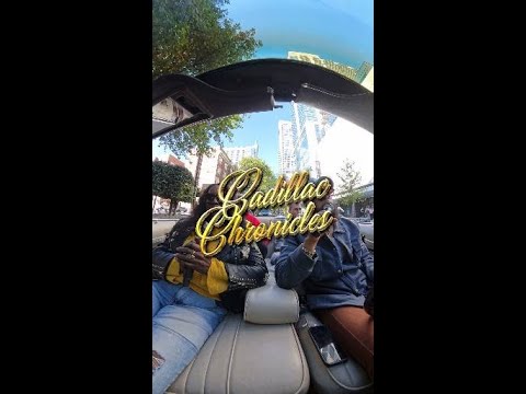 The Art of Baking: From Classic Bread to Artisan Pastries