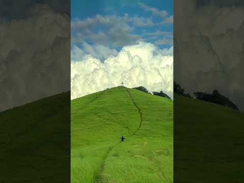 Tưởng rằng Thuỵ Sỹ hay Tân Cương đã rất đẹp rồi cho tới khi bạn đặt chân đến nơi này #hulunbuir