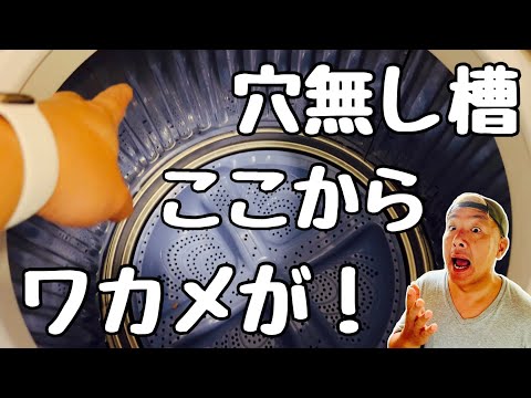 穴なし槽なのに！ワカメが止まらない！？原因とお手入れ方法を解説します！！