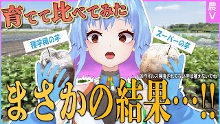 スーパーのじゃがいも、植えたらガチで育った【まさかの味・収穫量】