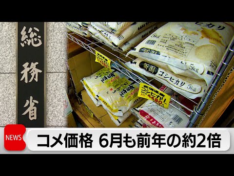 経済金融の動画サムネイル - 消費者物価指数 7カ月連続3％台　コメ価格など食料品が影響