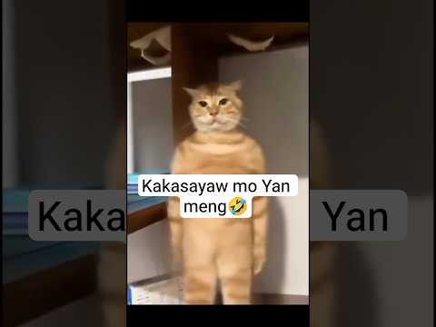 napagod kakasayaw🤣 #shorts #forentertainmentpurposesonly