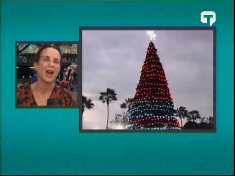Guayaquil espacios públicos se iluminan con encendido de árboles de navidad