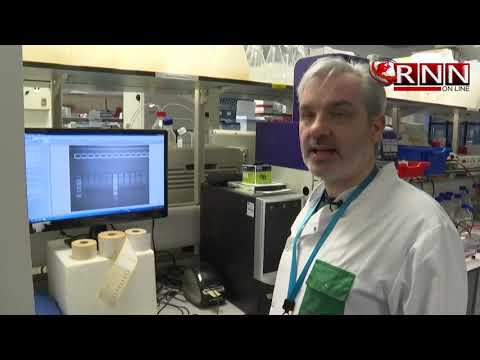 Británicos ensayan vacuna contra el nuevo coronavirus en ratones