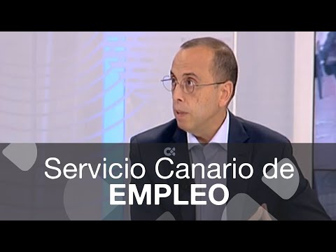 Asesoramiento y formacio?n en el Servicio Canario de Empleo