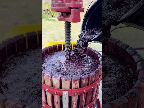 8000 Year Old Wine Making Technique 🍷