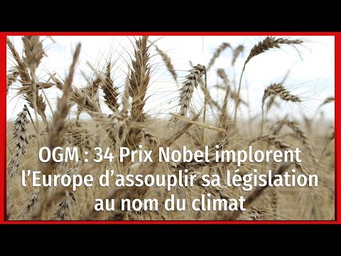 OGM : 34 Prix Nobel implorent l’Europe d’assouplir sa législation au nom du climat