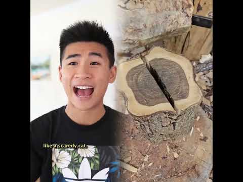 #pov #funny #skit #acting #tools #fyp #foryou #satisfying #story #shorts