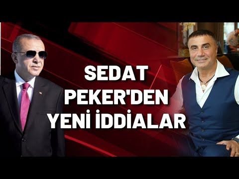 Sedat Peker gündeme getirdi Timur Soykan anlattı: ERDOĞAN'IN FEDAİSİ