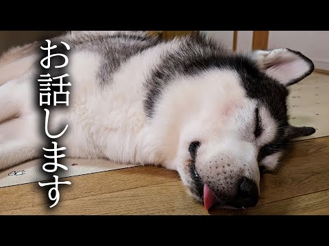 みなさまにお伝えしたいこと...
