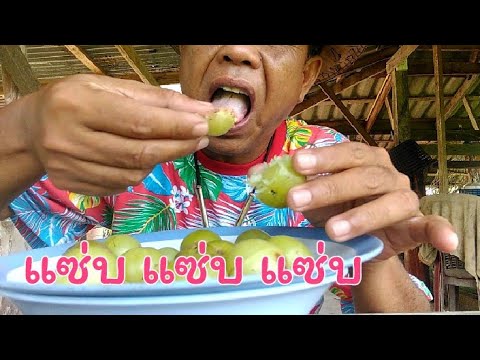 กินให้ได้ทั้งวิตามินทั้งความอร กินให้ได้ทั้งวิตามินทั้งความอร