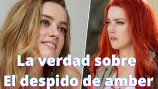 Amber Heard despedida de aquaman 2 (verdad o fake) todo lo que debes saber