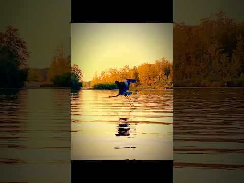 An 83 degree day in September? Gotta soak it up.. #kayak #sunset #chill #wildlife #lake #paddle