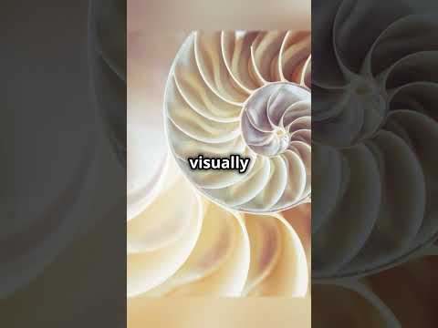 Fibonacci: Nature’s Secret Code 📐 #FibonacciSequence #NatureCode #HiddenBeauty