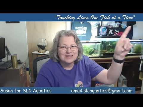 What Does this Aquatic Hobby Mean to you?/52725/fi Happy Post Memorial Day in Memory of those that have sacrificed their lives for our freedom! Tonight
