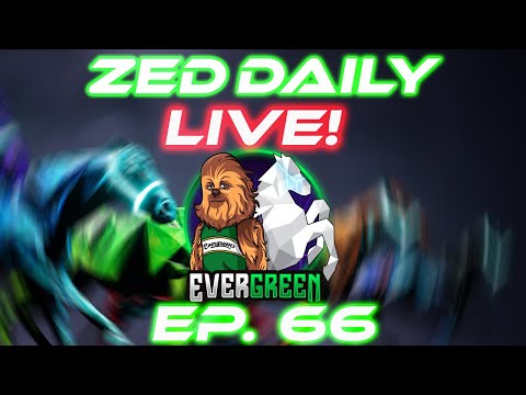 Zed Daily EP. 66 | C1 Premier Tournament & Keep On Winning  | Zed run