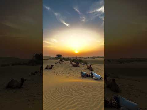 🔥 थार रेगिस्तान: अद्भुत सफर 🌵🏜️ | Amazing Thar Desert Journey 🚗✨ || fact video || A0 Topic