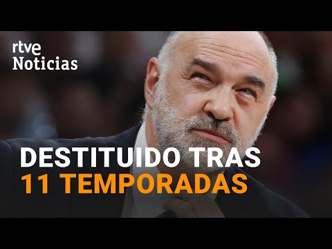 REAL MADRID: PABLO LASO DEJA de ser ENTRENADOR del equipo de baloncesto por RAZONES MÉDICAS | RTVE