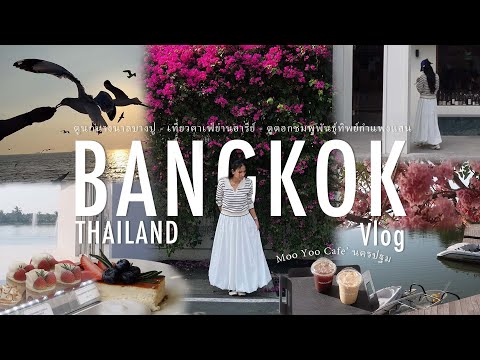 My name is Sabai Thailandvlog🇹🇭คาเฟย่านอารีย์,mooyooนครปฐม,ดูพระอาทิตย์ตกบางป My name is Sabai Thailandvlog🇹🇭คาเฟย่านอารีย์,mooyooนครปฐม,ดูพระอาทิตย์ตกบางป