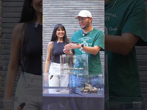 Te doy DINERO si no GRITAS... parte 9