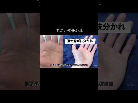 運命線の枝分かれを見つけて未来の可能性を知る方法 サムネイル