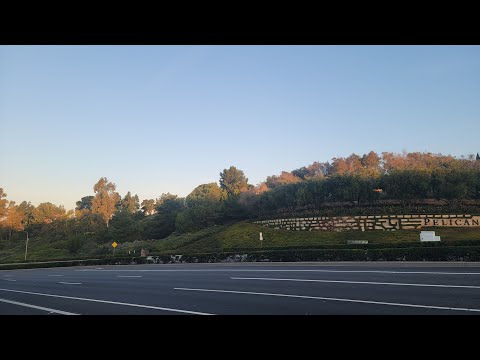 【ライブ配信】朝からお散歩します🐶Shinsuke Handyman がライブ配信中！