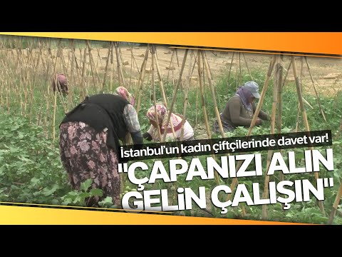İstanbul’da Kadın Çiftçiler Organik Ürünleri Böyle Yetiştiriyor