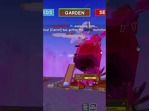 GAG SẼ CÓ INDONESIA UPDATE VÀO TUẦN NÀY?? #growagarden #roblox