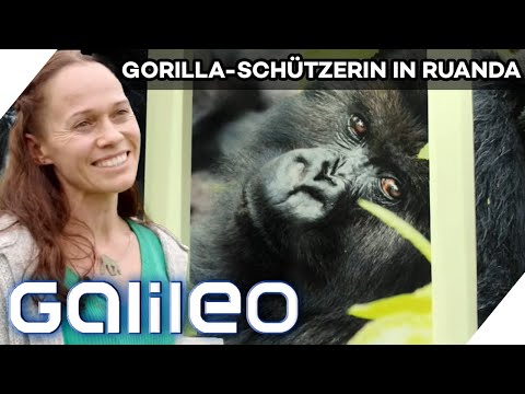 Winnie Eckardt schützt die sanften Riesen - Gorilla-Schützerin in Ruanda | Galileo | ProSieben