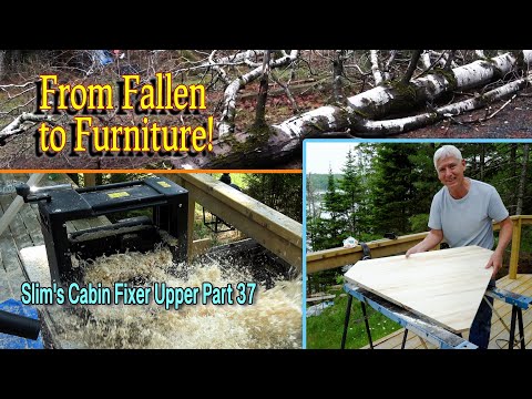 Making a Desk from Downed Trees: From Fallen to Furniture Pt 1