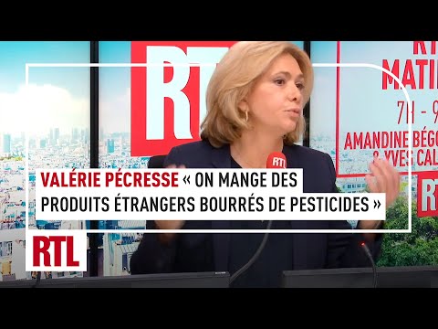 Agriculteurs en colère : On mange des produits étrangers bourrés de pesticides et OGM