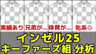 【インゼル】2025年度募集馬(キーファーズ組)の血統分析【ラブアンバサダー24/ヒャッカリョウラン24】