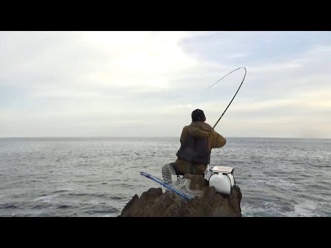 日本海の荒波に浮かぶ小さな磯でカゴ釣りしたら想像以上の大物が、、、