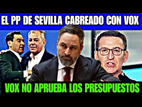 VOX SEVILLA NO APRUEBA LOS PREUPUESTOS DEL ALCALDE DE SEVILLA, EL PP ARDE DE RABIA CONTRA VOX