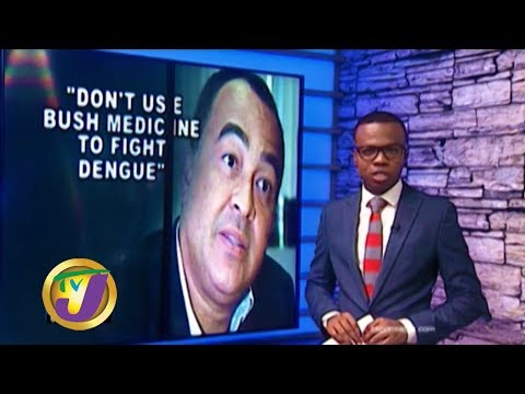 TVJ News: Health Minister Warns Don't Use Bush Medicine to Fight Dengue - January 13 2020
